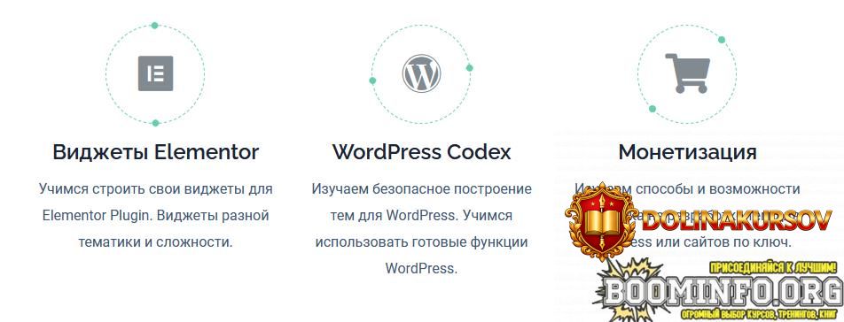 aleksandr-sokirka-geniuscourses-com-razrabotka-temy-dlja-wordpress-2021.60267.jpg