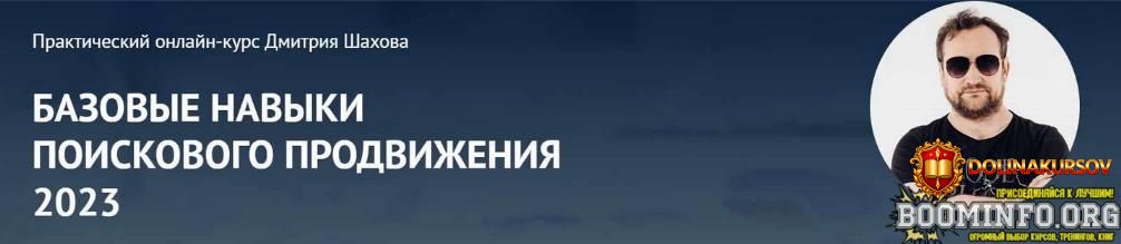 dmitrij-shaxov-bazovye-navyki-poiskovogo-prodvizhenija-2023.76143.jpg