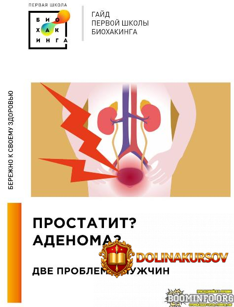 irina-baranova-tatjana-smoljaninova-pervaja-shkola-bioxakinga-gajd-prostatit-i-adenoma-2024.83...jpg