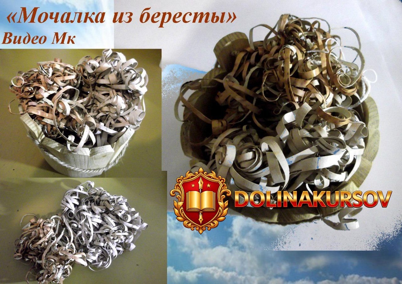 mochalka-iz-beresty-mirsanova-2016.19537.jpg