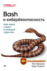 pol-karl-bash-i-kiberbezopasnost-ataka-zaschita-i-analiz-iz-komandnoj-stroki-linux-2020.49253.jpg