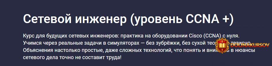stepik-setevoj-inzhener-uroven-ccna-nikita-boguslavskij.465697.jpg
