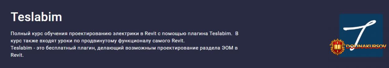 stepik-teslabim-polnyj-kurs-obuchenija-proektirovaniju-ehlektriki-v-revit-viktor-ugodin-pavel-...jpg