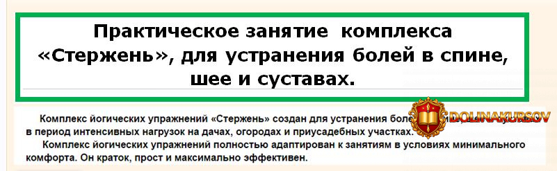 sterzhen-kompleks-dlja-ustranenija-bolej-v-spine-shee-i-sustavax-luganskij-2016.20234.jpg